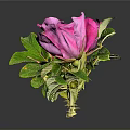 Bonsai Potted Plant With Pink Flowers And Green Leaves On Black Background