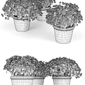 Blooming Bonsai Potted Plants With Colorful Flowers In Various Colored Pots