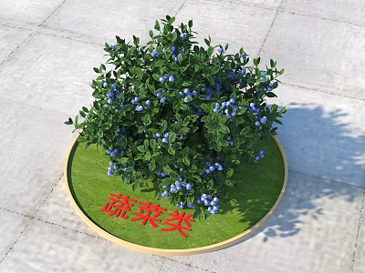 Lush Vegetable Tree With Blue Fruits And Green Circular Base On Pavement 3d model
