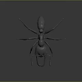 Detailed 3D Ant Model Render With Realistic Body Structure Long Legs And Prominent Mandibles
