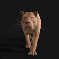Realistic 3D Model of Saber Toothed Tiger With Detailed Fur And Long Canines