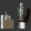 Modern Office Desk With Marble Top Computer Monitor Books Small Plant And Large Cactus