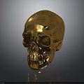 Animal Skull Ornament in Golden Finish Placed on Black Background with Shiny Reflection