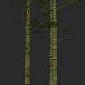Three Green Bamboo Plants with Slender Stems and Fresh Green Leaves Against Gradient Gray Background