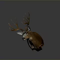 Realistic Deer Head Taxidermy Mount With Brown Antlers For Wall Decor