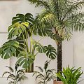Best Indoor Hanging Basket Plants With Lush Green Leaves For Modern Home Decoration