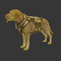 Realistic Labrador Dog Sculpture With Detailed Vest Carving And Lifelike Features