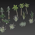 Different Types of Green Plants Including Trees Grasses and Flowering Varieties