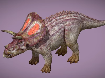 Reptile Triceratops with Red Patches on Frill Striped Body Stocky Limbs and Open Mouth 3d model