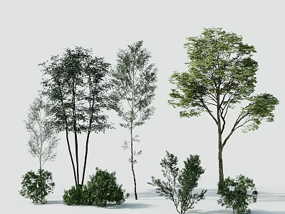 Natural Scenic Tree Pit Design With Multiple Trees And Green Plants In Outdoor Space 3d model