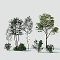 Natural Scenic Tree Pit Design With Multiple Trees And Green Plants In Outdoor Space
