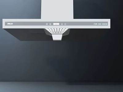 Rinnai CTV 200 BSS Modern Stainless Steel Kitchen Range Hood Appliance Design 3d model