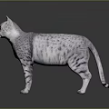 Gray Spotted Cat Standing On Reflective Surface With Silver Fur And Dark Background 3d model