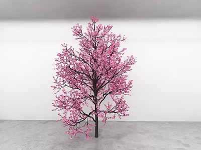 Decorative Indoor Tree With Pink Blossoms In Minimalist Interior Setting 3d model