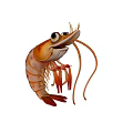 Cute Cartoon Orange Spotted Shrimp With Big Eyes And Long Antennae