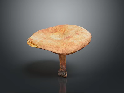 Fresh Orange Brown Mushroom With Large Cap Visible Texture And Thick Stem On Dark Background 3d model