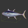 Blue and White Tuna Fish with Yellow Spots on Shiny Reflective Surface