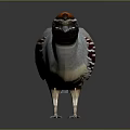Colorful Bird With Orange Crown Gray Body And Red Markings In Standing Pose