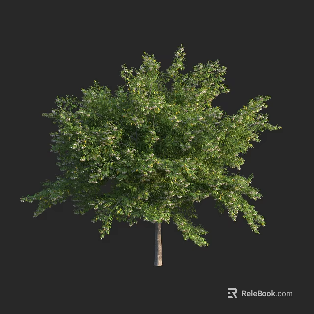 Healthy Arbor With Lush Green Foliage Full Canopy And Natural Growth 3d model 
