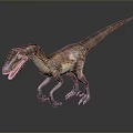 Realistic Velociraptor Dinosaur 3D Model With Detailed Skin Texture Open Mouth Standing On Gray Background