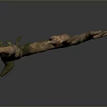 Natural Twisted Branch Sculpture With Textured Surface And Organic Shape