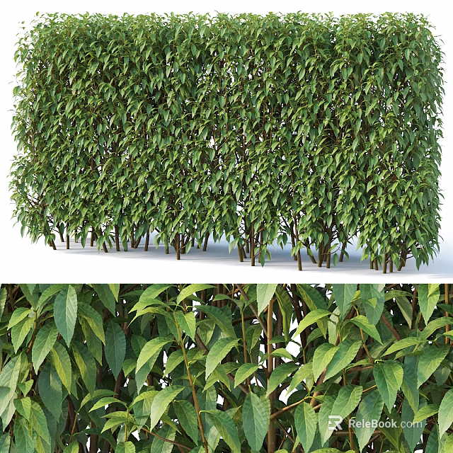 Lush Green Bushes With Dense Foliage And Vibrant Leaves For Garden Landscaping 3d model 
