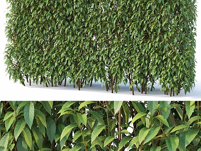 Lush Green Bushes With Dense Foliage And Vibrant Leaves For Garden Landscaping 3d model
