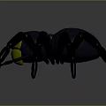 Black Spider Toy With Yellow Head And Green Accents On Blue Background