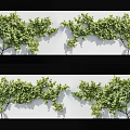 Green Leafy Vines with Lush Foliage for Decorative Wall Decoration