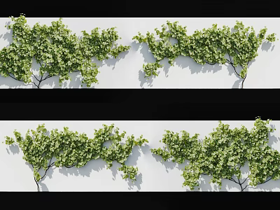 Green Leafy Vines with Lush Foliage for Decorative Wall Decoration 3d model