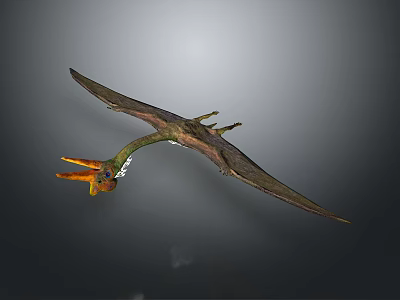 Realistic Pterosaur Flying Reptile With Orange Beak And Spread Wings 3D Rendering 3d model