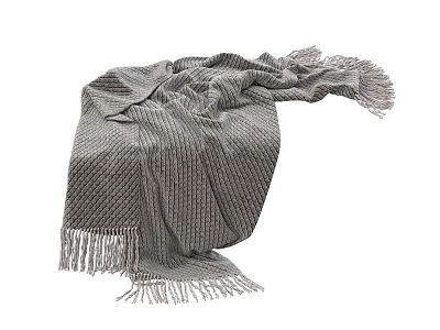 Soft Gray Knitted Blanket With Fringed Edges And Textured Design 3d model