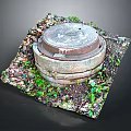 Urban Architecture Manhole Cover Surrounded by Green Plants and Fallen Leaves