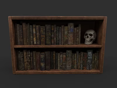Vintage Books On Wooden Bookshelf With Classic Spines And Skull Decor 3d model