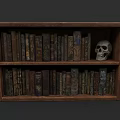 Vintage Books On Wooden Bookshelf With Classic Spines And Skull Decor