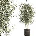Decorative Olive Tree Plant Arrangement Potted Indoor Green Leaf Home Decor