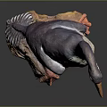 Gray And White Bird Sculpture With Orange Beak Feet On Colorful Rock Base
