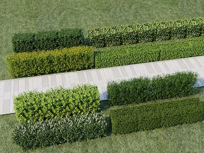 Well Trimmed Shrubs Arrangement On Green Lawn With Stone Walkway 3d model