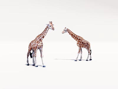 Two plastic giraffe models standing face to face on white background 3d model