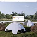 Various Designed Outdoor Tents In Grassy Garden With Trees And Wooden Fence