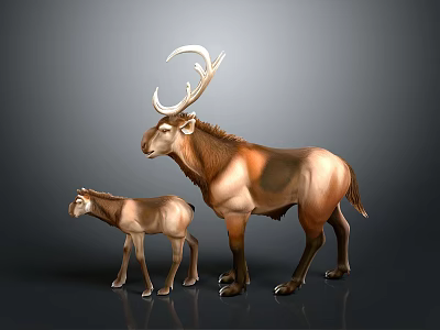 Adult Deer With Large Antlers And Fawn Standing On Gray Background 3d model