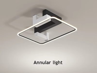 Modern Annular Design Ceiling Light With Sleek Black And White Frame And LED Lighting 3d model