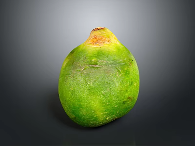 Fresh Whole Green Coconut Tropical Fruit With Yellow Top On Gray Background 3d model