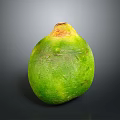 Fresh Whole Green Coconut Tropical Fruit With Yellow Top On Gray Background