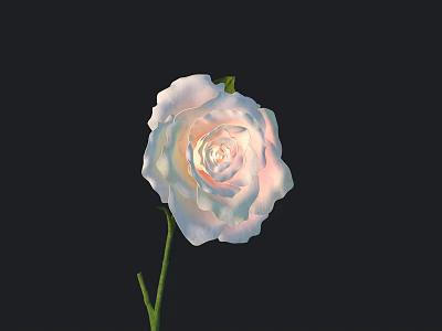 Beautiful Rose with White and Pink Gradient Petals and Green Stem on Black Background 3d model