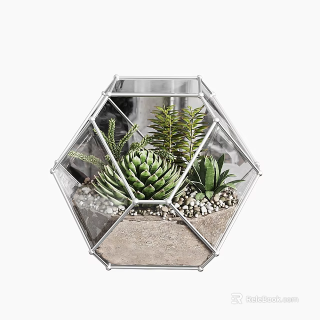 Succulent Bonsai Plants in Geometric Glass Terrarium with Pebbles and Sand 3d model 