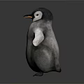 Baby Penguin Standing With Outstretched Wings Gray Body White Belly Yellow Beak On Dark Surface