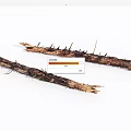 Natural Raw Wood Branches With Thorns And Rough Surface Texture 3d model