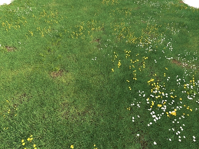 Modern Lawn 3d model