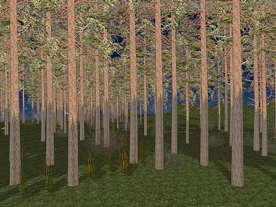 Park Landscape With Tall Trees Green Grass And Dark Blue Night Sky 3d model